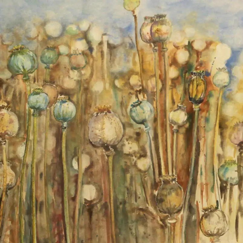 Makovi :: Größe 30cm x 39cm :: Aquarell