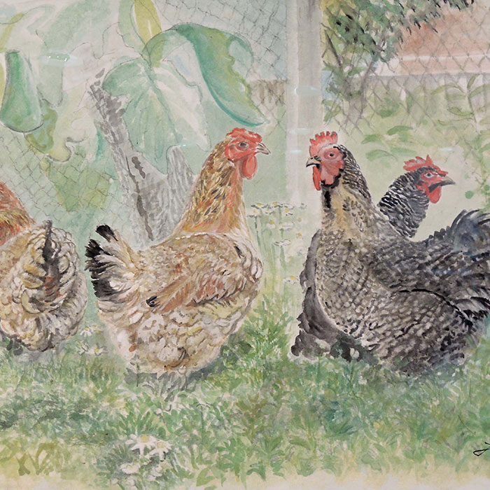 Hühner Tête-à-Tête :: Größe 41cm x 61cm :: Aquarell